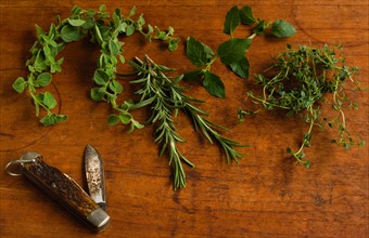 Mint, rosemary, oregano and thyme leaves next to old pocket knife on cutting board