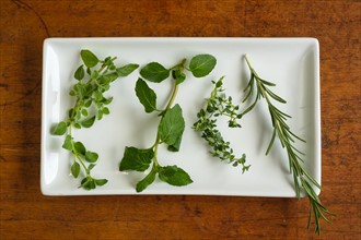 Mint, rosemary, oregano and thyme leaves on white plate