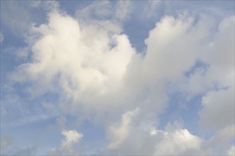 Cumulus cloudscape