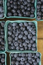 Blueberries in papers containers at market