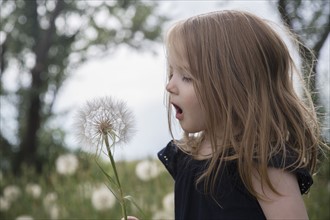 Little girl (4-5) blowing dandelion flower