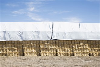 USA, Colorado, Stack of hay covered with tarpaulin