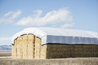 USA, Colorado, Stack of hay covered with tarpaulin