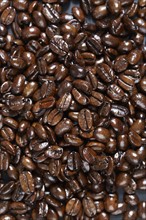 Full frame of roasted coffee beans