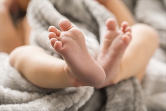 Baby boy's (0-1 months) feet