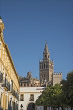 Spain, Andalusia, Seville, La Giralda bell tower of Seville cathedral