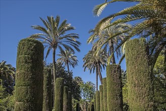 Spain, Andalusia, Seville, Formal gardens of Royal Alcazar