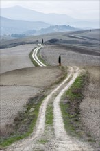Italy, Tuscany, San Quirico D'orcia, Long twisting rural road leading through endless gray fields and lonely cypress trees