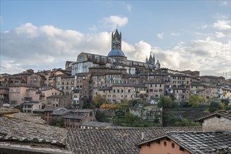 Italy, Tuscany, Siena, View of ancient Siena city and roof of cathedral Duomo di Siena