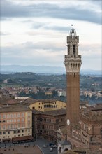 Italy, Tuscany, Siena, Pubblico Palace and bell tower Torre del Mangia, tallest ancient building in city