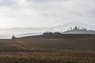 Italy, Tuscany, Castiglione D'orcia, Tractors on gray plowed land and distant cypress trees around villa disappearing in fog
