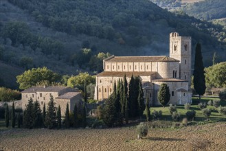 Italy, Tuscany, Montalcino, Abbey of Sant'Antimo near Montalcino in sunlight