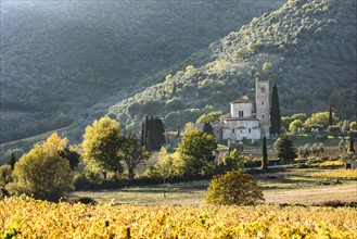 Italy, Tuscany, Montalcino, Abbey of Sant'Antimo near Montalcino against green hills