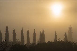 Italy, Tuscany, Sun over misty landscape with cypresses