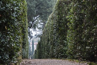 Italy, Tuscany, Florence, Footpath in Boboli gardens