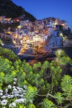 Italy, Liguria, Manarola at dusk with tree branch in foreground