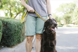 Woman walking with Labrador Retriever