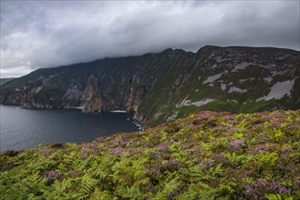 Ireland, County Donegal, Slieve League cliffs by Donegal bay