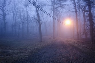 USA, New Jersey, Empty dirt road at dawn