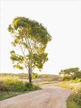 Australia, Queensland, Empty dirt road