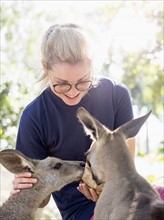 Young woman feeding Eastern grey kangaroos (Macropus giganteus) and smiling