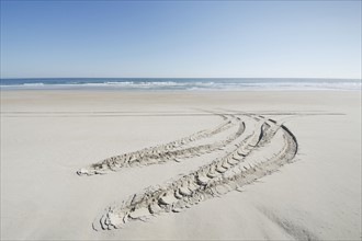 Car tire trail on sand