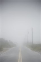USA, Massachusetts, Nantucket Island, Road in fog