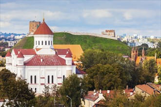 Lithuania, Vilnius, Cathedral of the Theotokos and cityscape in background