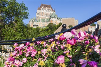 Canada, Quebec, Quebec City, Old architecture with blooming flowers