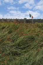 Ireland, Donegal County, Dungloe, Flag of Ireland by stone wall