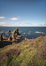 Ireland, Donegal County, Crophy Head Arch and sea stacks
