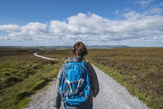 Ireland, Cavan County, Cuilcagh Mountain Park, Woman hiking along road