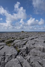 Ireland, Clare County, Burren, Limestone landscape