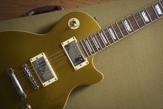 Gibson Les Paul lying on guitar case