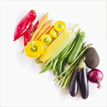 Composition of multicolored vegetables