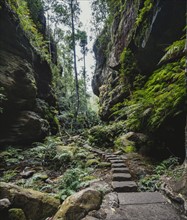 Stony path along rocks