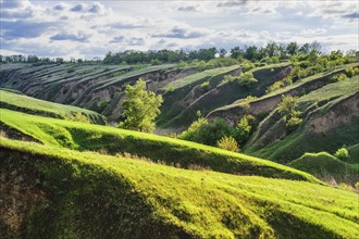 Ukraine, Dnepropetrovsk region, Dnepropetrovsk city, Green landscape formed by geological erosion
