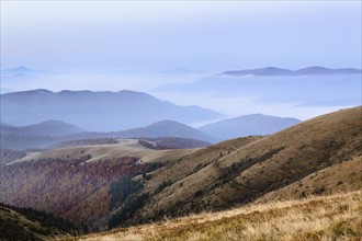 Ukraine, Zakarpattia region, Rakhiv district, Carpathians, Chornohora, Sheshul, Mountain landscape with mist