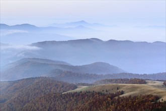 Ukraine, Zakarpattia region, Rakhiv district, Carpathians, Chornohora, Sheshul, Mountain landscape with mist