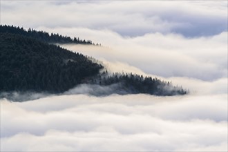 Ukraine, Zakarpattia region, Rakhiv district, Carpathians, Chornohora, Mist over mountains