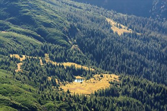 Ukraine, Zakarpattia region, Rakhiv district, Carpathians, Chornohora, Chornohora ridge, Landscape with forest and pond