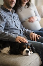 Mid adult couple sitting on sofa and stroking puppy