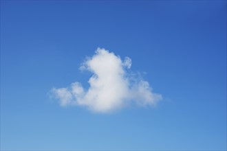 White cumulus cloud on blue sky