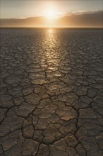 USA, Oregon, Alvord Desert, Cracked soil at sunset