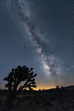 USA, California, Death Valley National Park, Milky way over desert