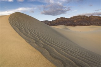 USA, California, Death Valley National Park, Eureka Dunes, Rippled sand dune
