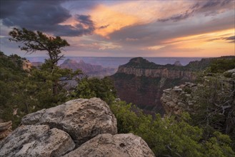 USA, Arizona, Grand Canyon National Park, North Rim, Grand Canyon at sunset