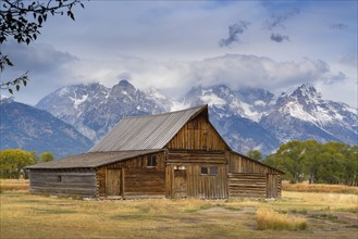 USA, Wyoming, Grand Teton National Park, Moulton Barn, Wooden barn in meadow