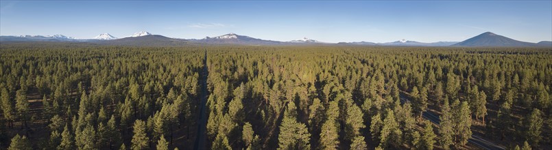 USA, Oregon, Sisters, Elevated view of evergreen forest with mountains in background