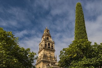Spain, Andalusia, Cordoba, Minaret of Great Mosque of Córdoba behind trees